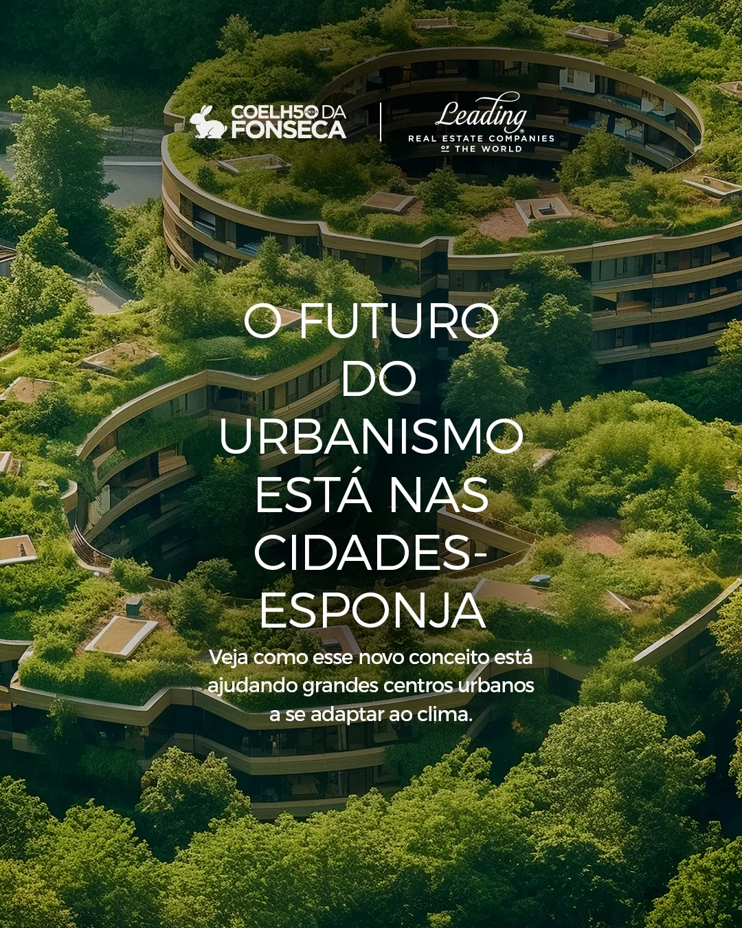 Inovação Urbanística | Cidades-esponja